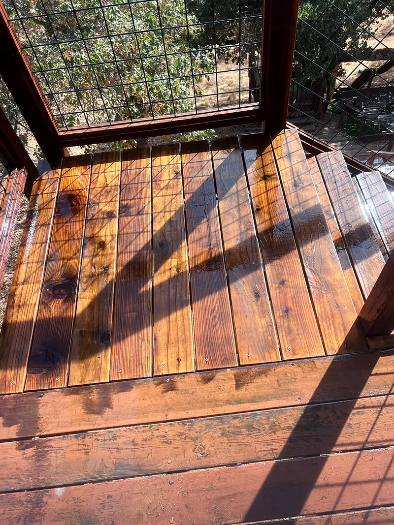 Freshly stained deck boards and steps with wire mesh railing panels